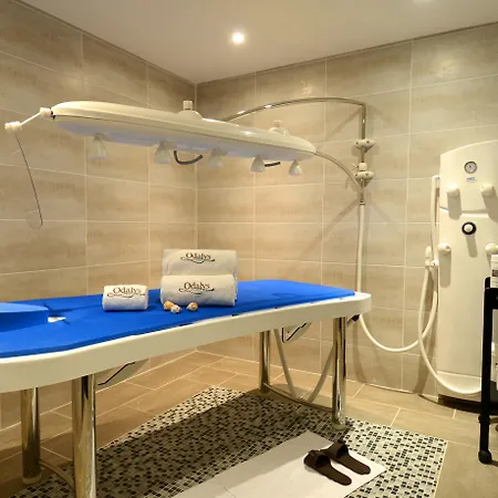 Odalys Genève 4* Ferney-Voltaire